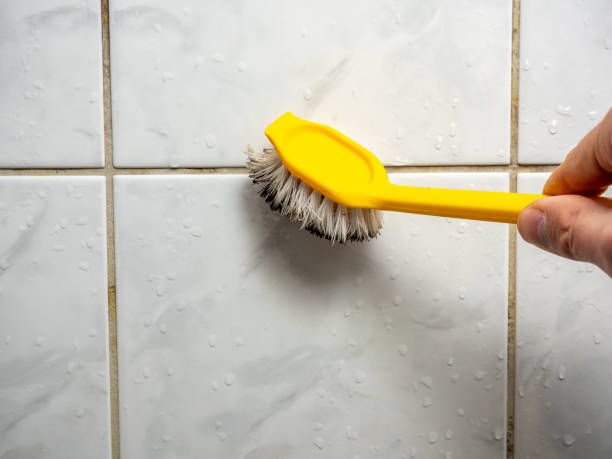 Office Mold Removal Services in Temple, TX