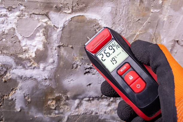 Best Water Damage Restoration  in Temple, TX