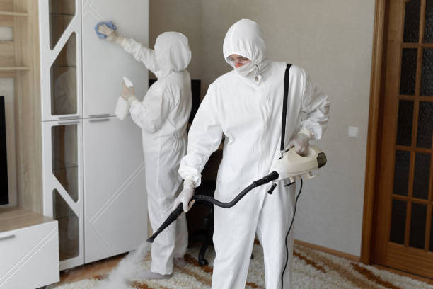 Best Crawl Space Mold Removal  in Temple, TX