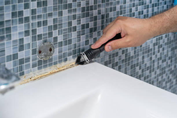 Best Attic Mold Removal  in Temple, TX