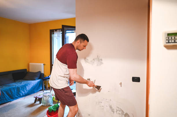 Best Best Mold Removal Companies  in Temple, TX